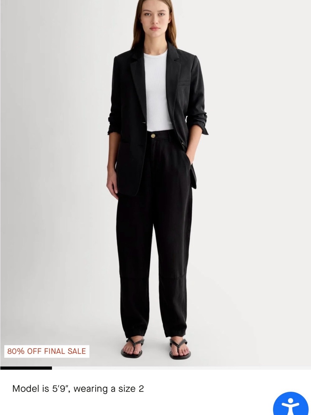 Everlane Black Wide-Leg Tailored Pants